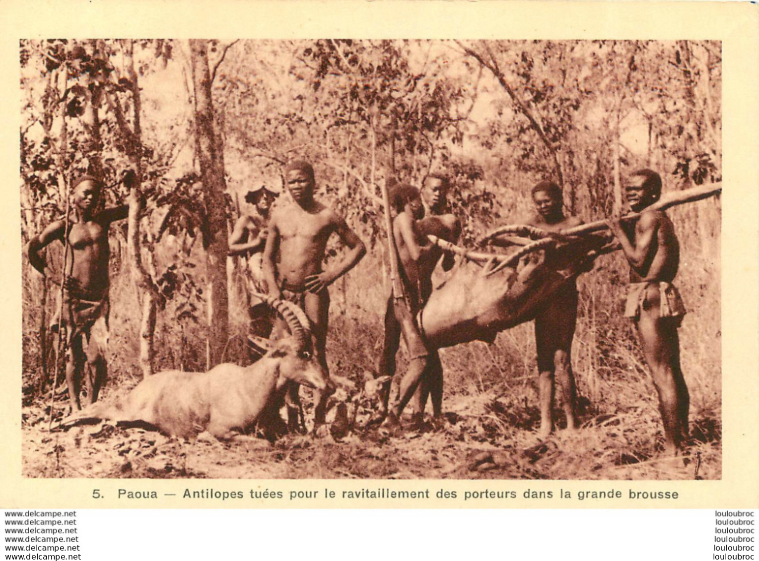 PAOUA ANTILOPES TUEES POUR LE RAVITAILLEMENT DES PORTEURS DANS LA BROUSSE - Central African Republic