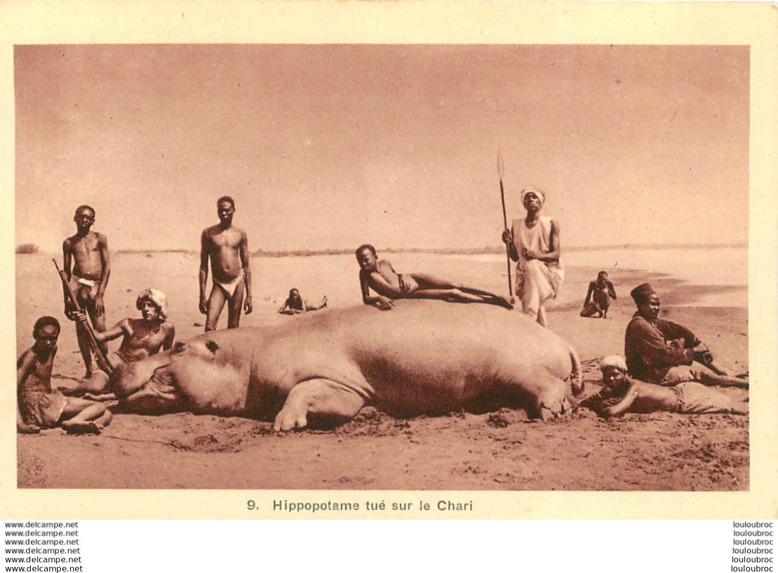 HIPPOPOTAME TUE SUR LE CHARI - Centrafricaine (République)