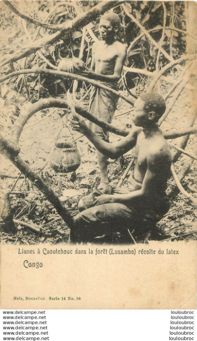 CONGO LIANES A CAOUTCHOUC DANS LA FORET LUSAMBO RECOLTE DU LATEX  EDITION NELS - Belgian Congo