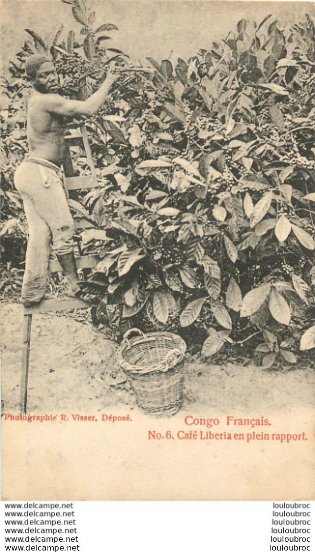 CONGO FRANCAIS CAFE LIBERIA EN PLEIN RAPPORT   EDITION VISSER - Congo Francés