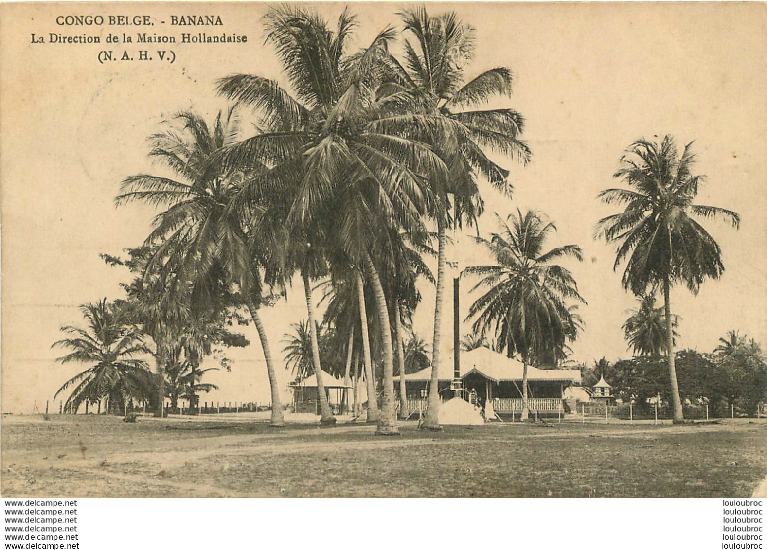 CONGO BELGE BANANA DIRECTION DE LA MAISON HOLLANDAISE  N.A.H.V. - Congo Belge