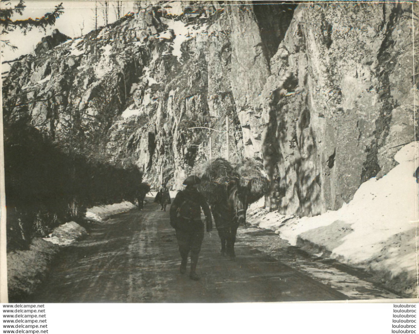 CHASSEURS ALPINS AVEC LEUR ANE EN MONTAGNE WW1 PHOTO ORIGINALE 18 X 13 CM - Guerre, Militaire