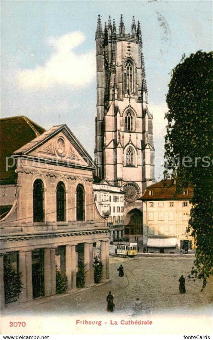 13784832 Fribourg FR La Cathedrale Fribourg FR - Autres & Non Classés