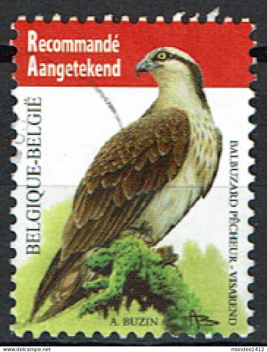 België OBP 4090 - Vogels, Oiseaux, Visarend, Balbuzard Pêcheur - Gebraucht