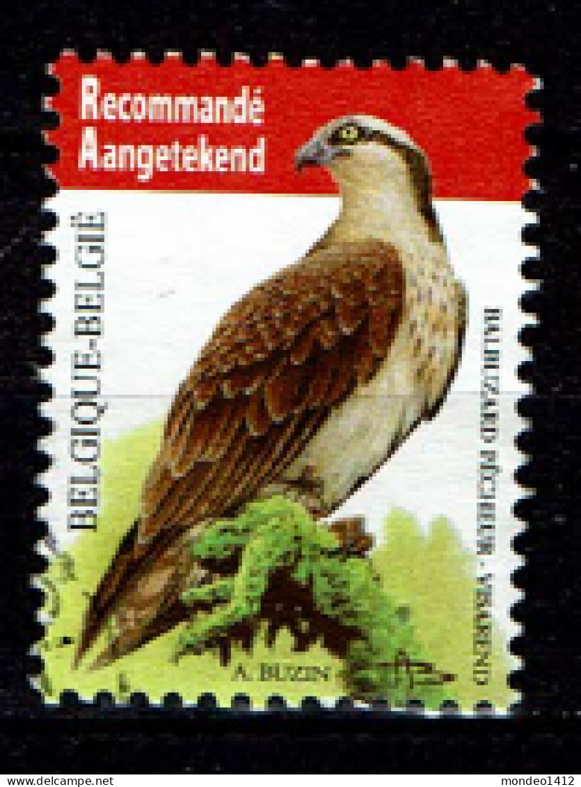 België OBP 4090 - Vogels, Oiseaux, Visarend, Balbuzard Pêcheur - Gebraucht
