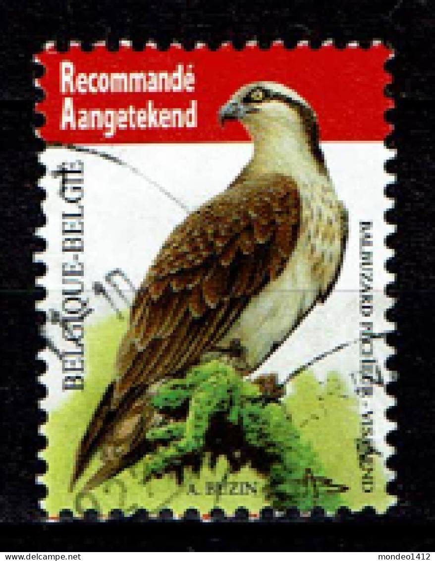 België OBP 4090 - Vogels, Oiseaux, Visarend, Balbuzard Pêcheur - Usati