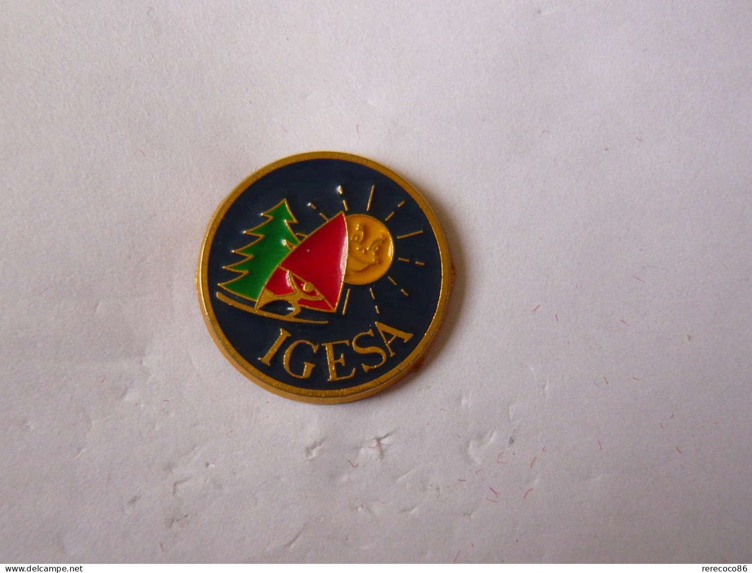 Pins  IGESA LOISIRS ET SERVICES AUX FAMILLES DES ARMEES MINISTERE - Militaria