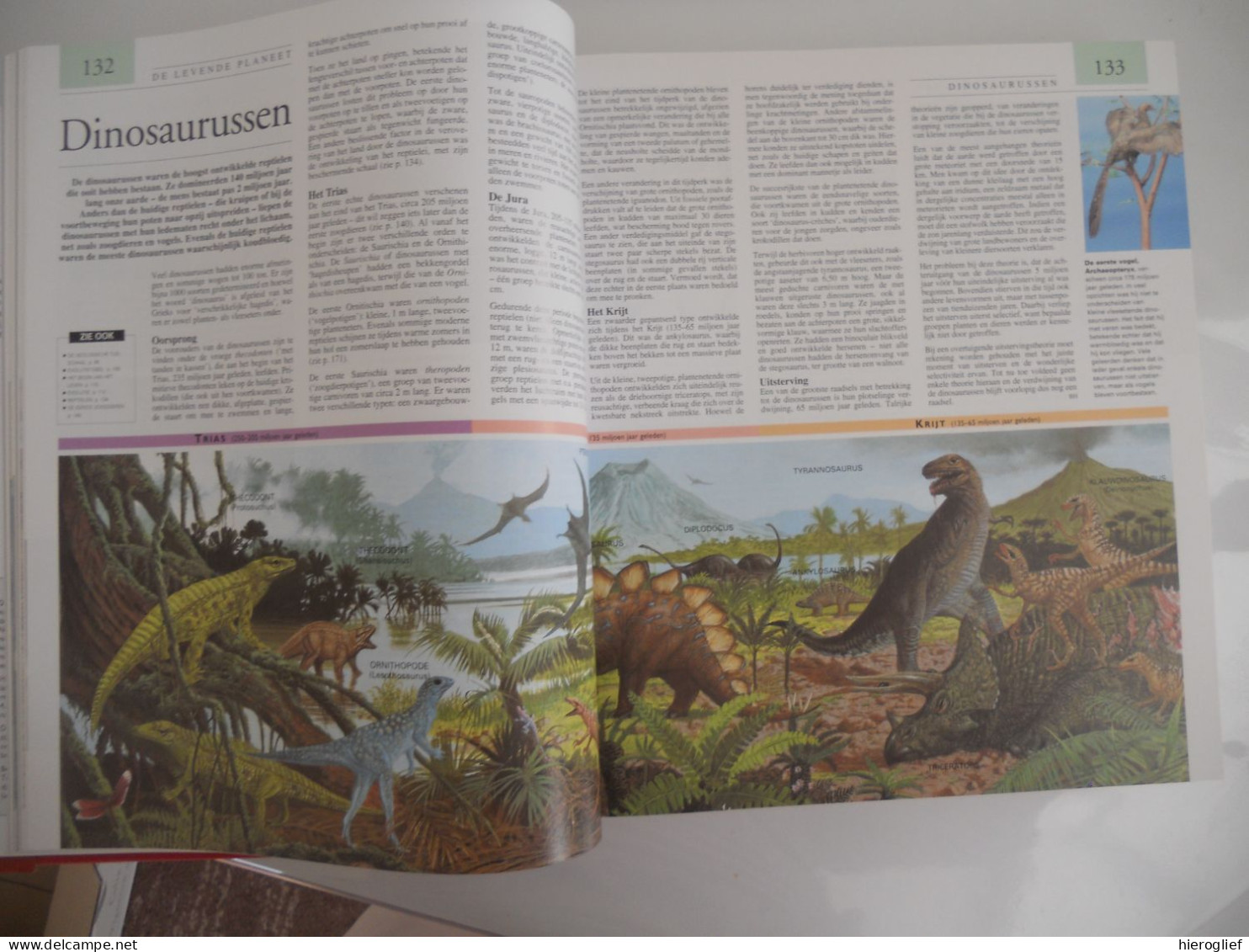 Atrium encyclopedie - originated bij Guiness geschiedenis oorlog kunst fauna flora dans muziek architectuur geografie