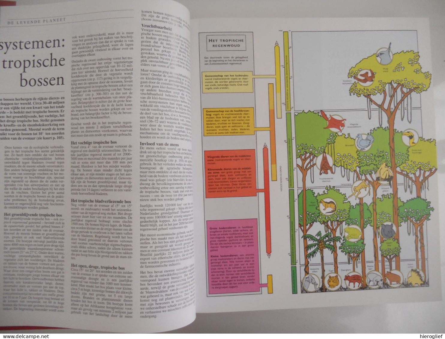 Atrium encyclopedie - originated bij Guiness geschiedenis oorlog kunst fauna flora dans muziek architectuur geografie