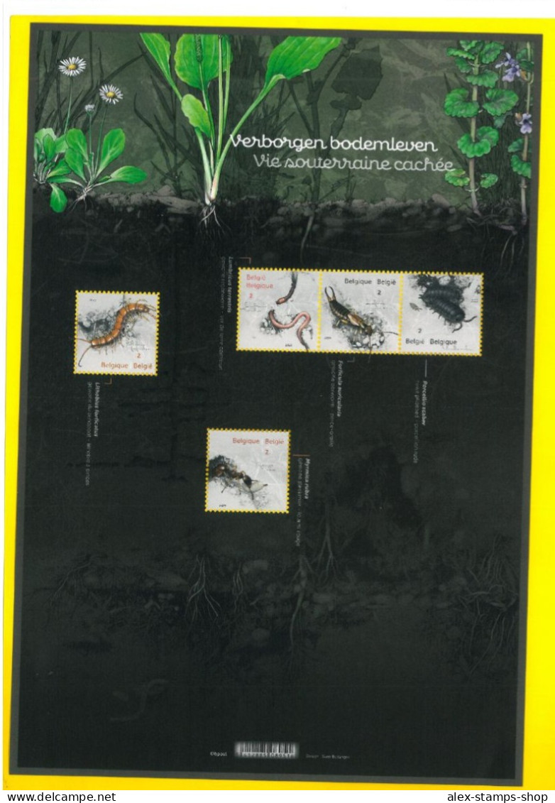 BELGIUM 2023 The Hidden Life Of Soil - Stamp Booklet - New Sheet - 2021-…