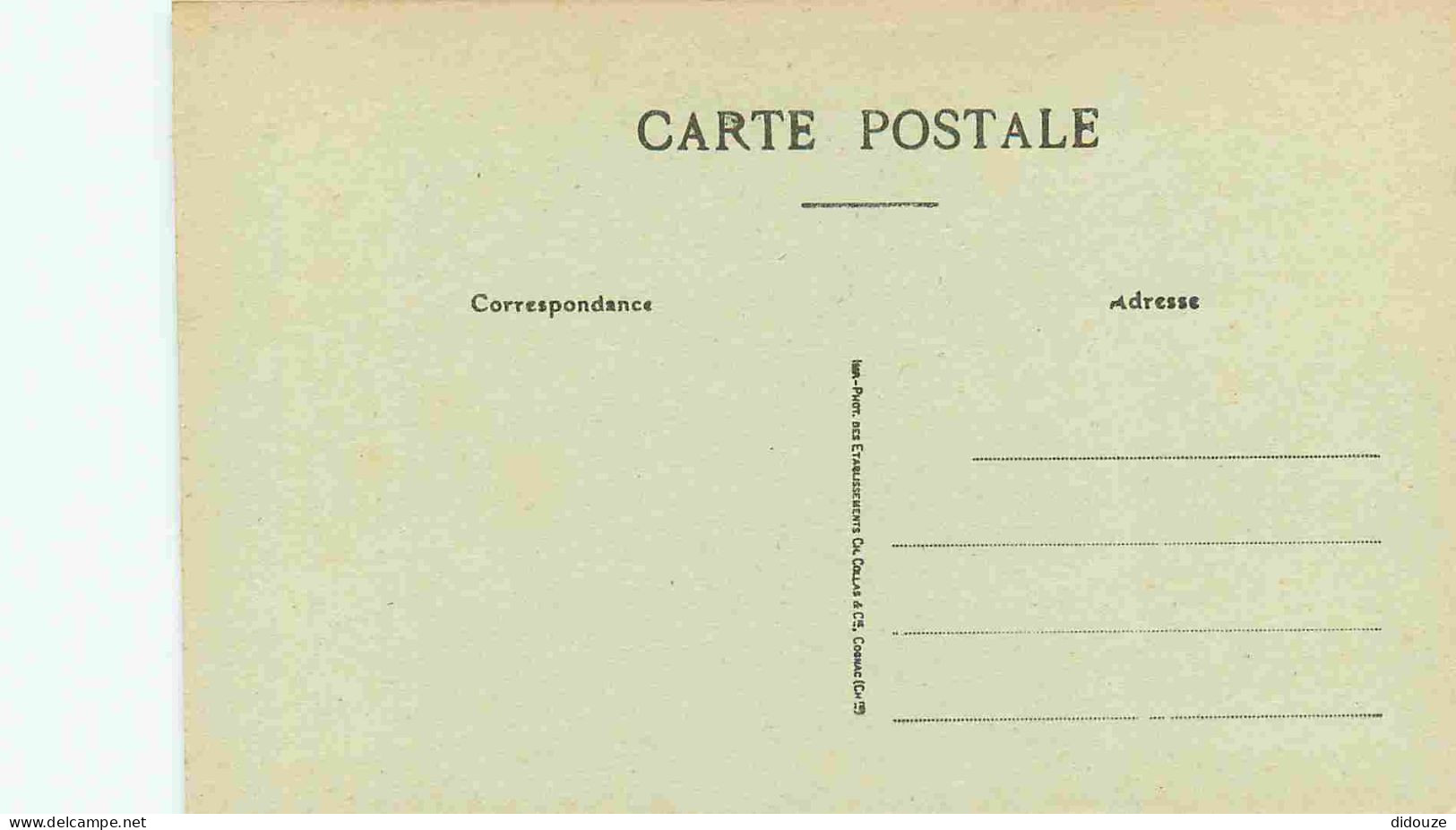 40 - Mézos - Avenue Des Ecoles - Animée - CPA - Carte Neuve - Voir Scans Recto-Verso - Autres & Non Classés