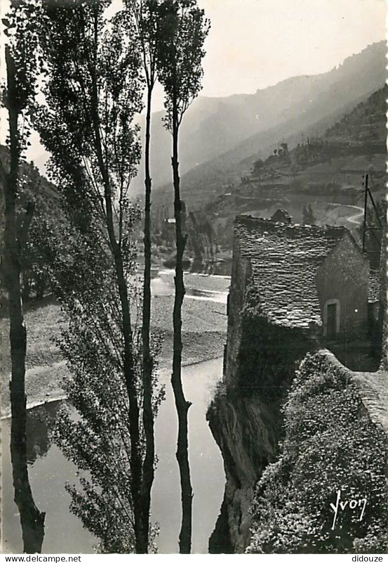 48 - Castelbouc - Les Rives Du Tarn - Gorges Du Tarn - Mention Photographie Véritable - Carte Dentelée - CPSM Grand Form - Altri & Non Classificati