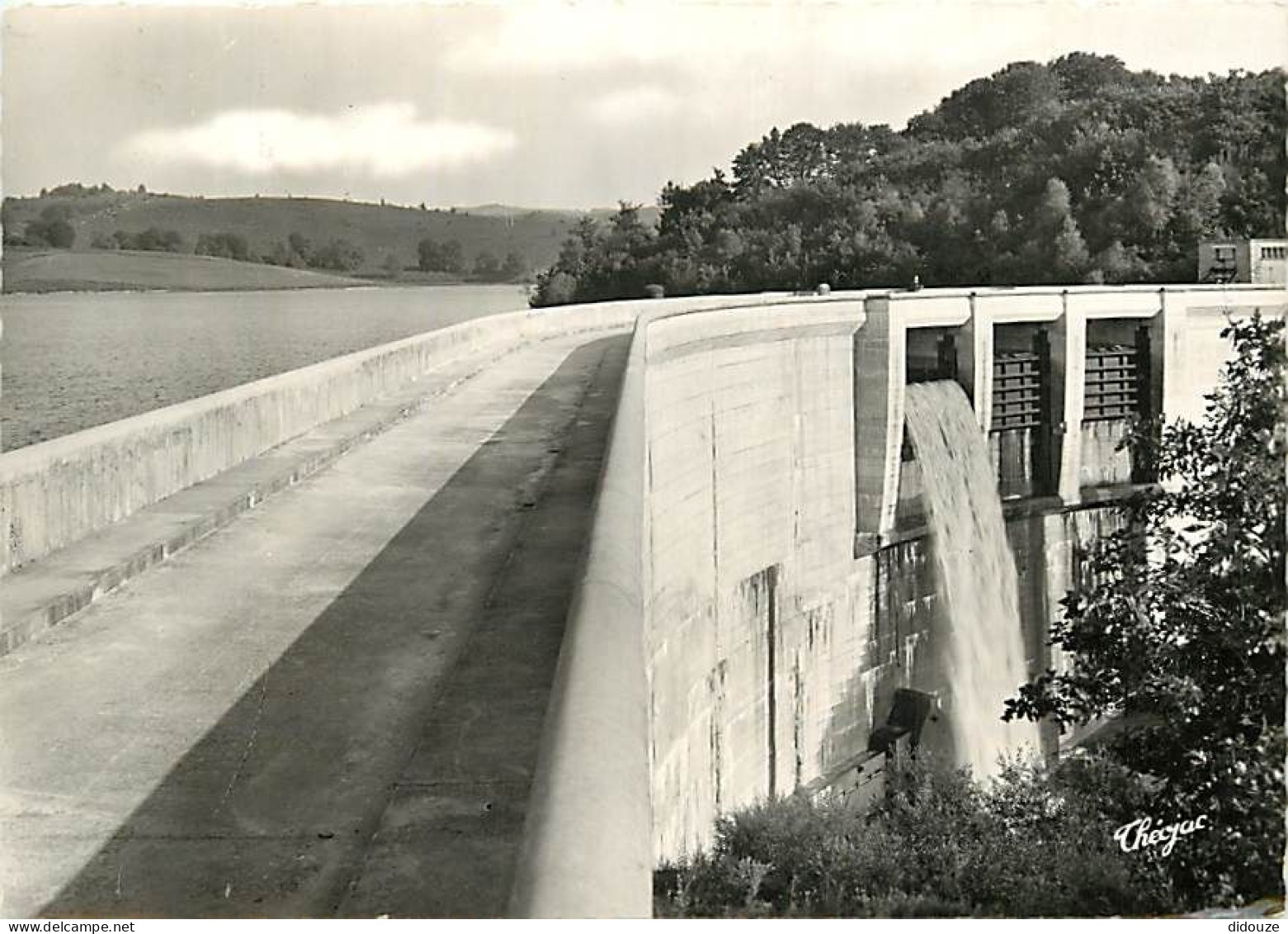 19 - Neuvic D'Ussel - Vue Sur La Retenue D'eau Du Barrage  - Mention Photographie Véritable - Carte Dentelée - CPSM Gran - Sonstige & Ohne Zuordnung