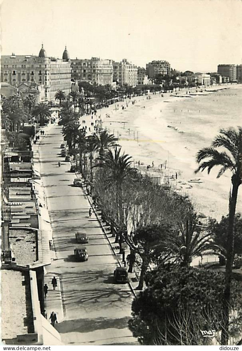 06 - Cannes - La Croisette - Automobiles - Carte Dentelée - CPSM Grand Format - Voir Scans Recto-Verso - Cannes