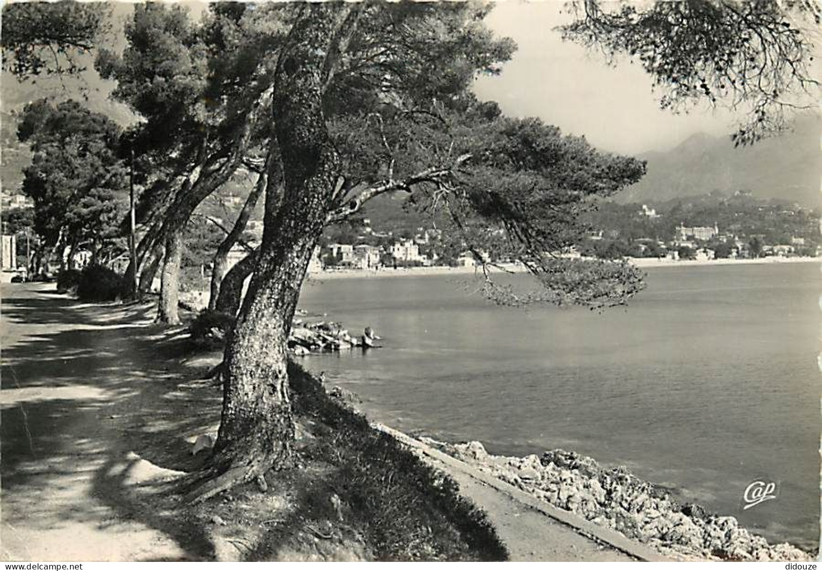 06 - Menton - La Promenade Du Cap Martin - Carte Dentelée - CPSM Grand Format - Etat Léger Pli Visible - Voir Scans Rect - Menton