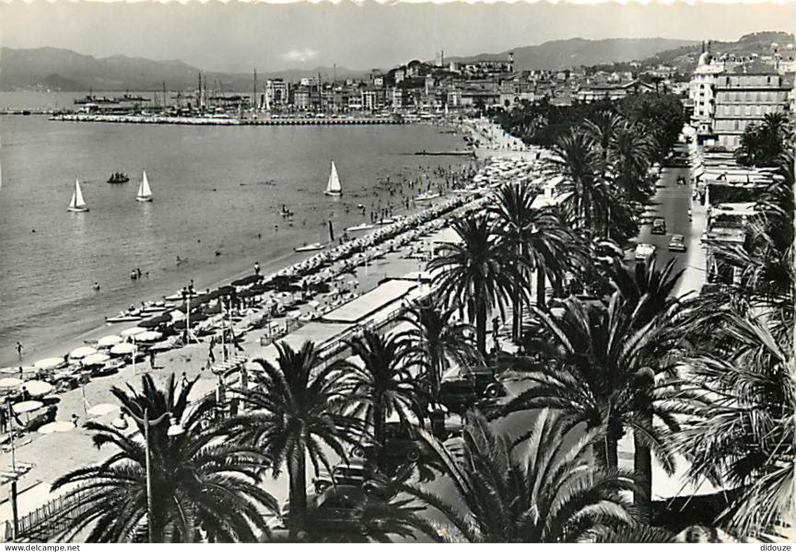 06 - Cannes - La Plage - La Promenade De La Croisette Et Le Suquet - Mention Photographie Véritable - Carte Dentelée - C - Cannes