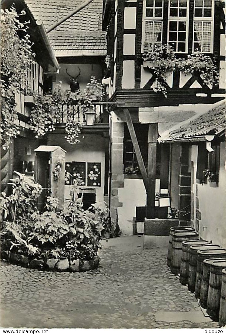 68 - Riquewihr - Cour Des Cigognes - Mention Photographie Véritable - CPSM Grand Format - Voir Scans Recto-Verso - Riquewihr