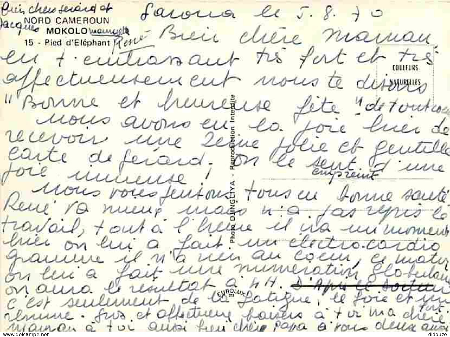 Cameroun - Mokolo - Pied D'Eléphant - Fleurs - Botanique - Voyagée En 1970 - CPM - Voir Scans Recto-Verso - Camerun