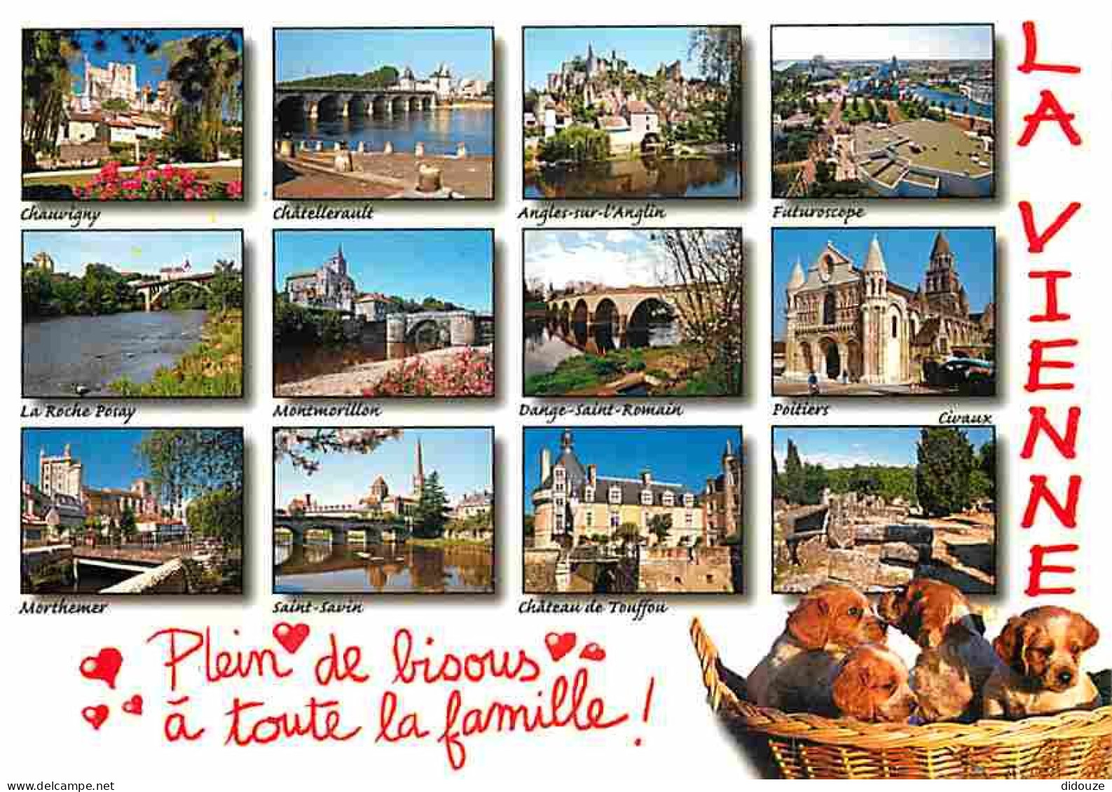 86 - Vienne - Multivues - Chiens - Chiots - CPM - Voir Scans Recto-Verso - Sonstige & Ohne Zuordnung