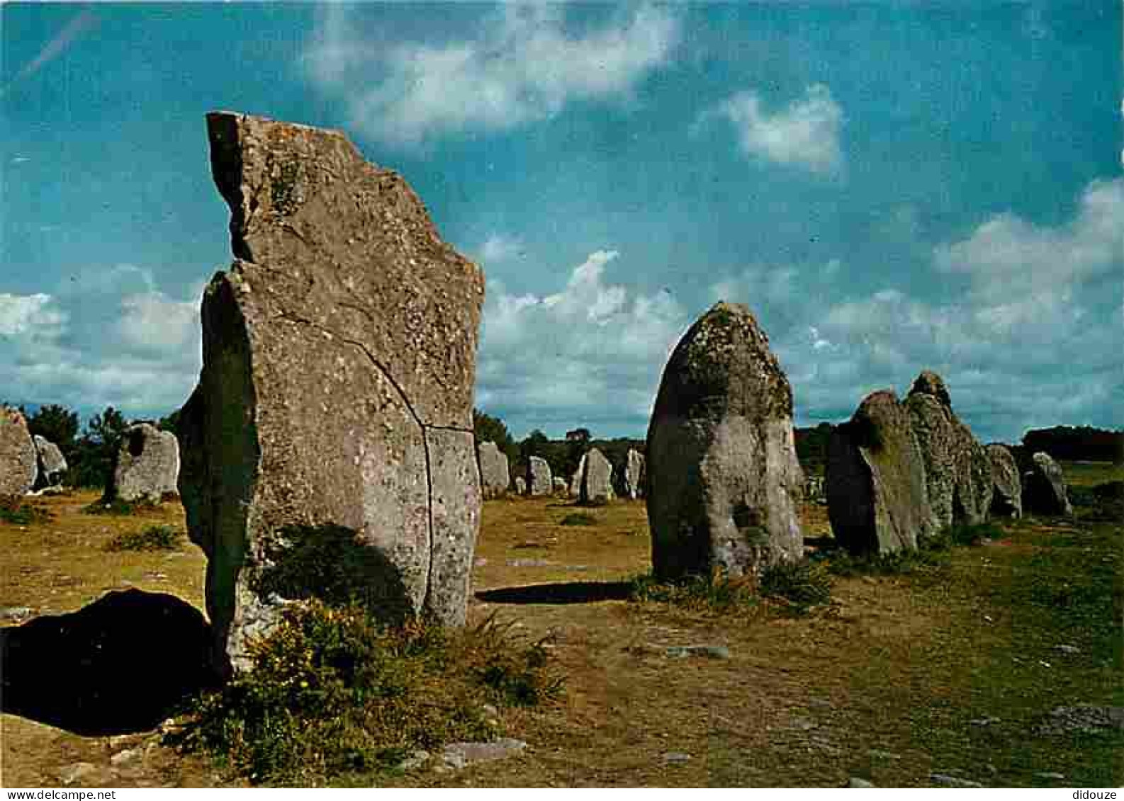 56 - Carnac - Mégalithes De La Région De Carnac - Carte Neuve - CPM - Voir Scans Recto-Verso - Carnac