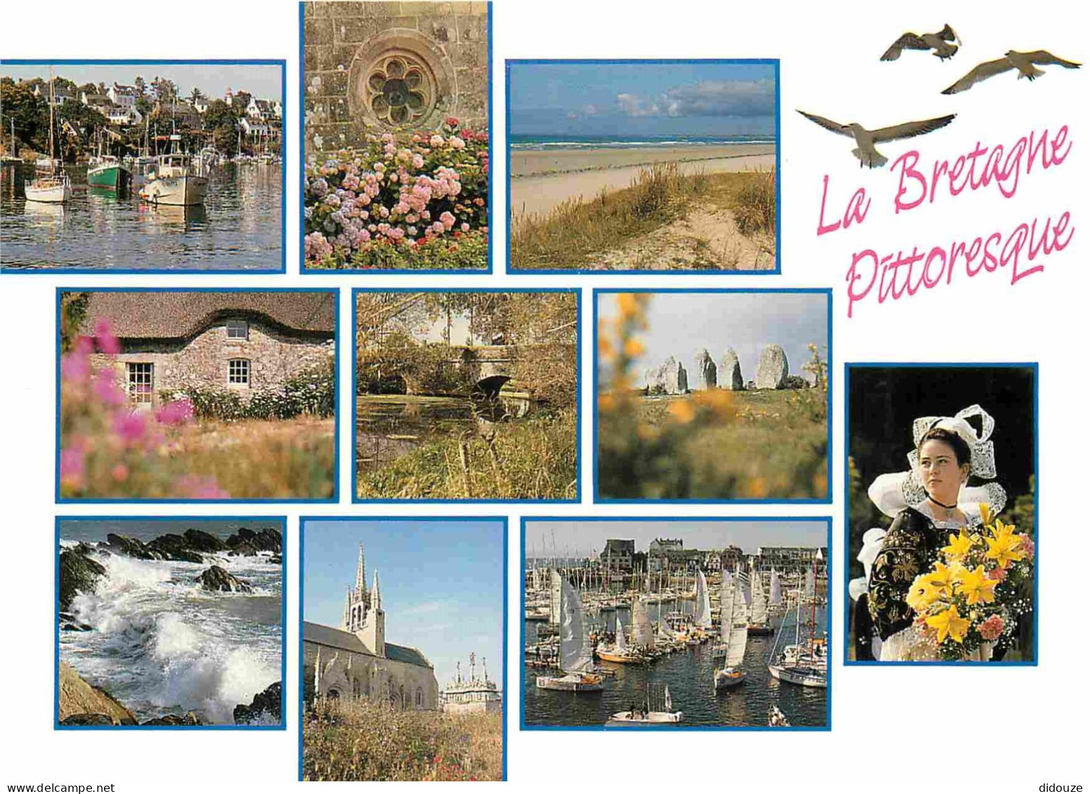 Régions - Bretagne - Multivues - CPM - Voir Scans Recto-Verso - Bretagne