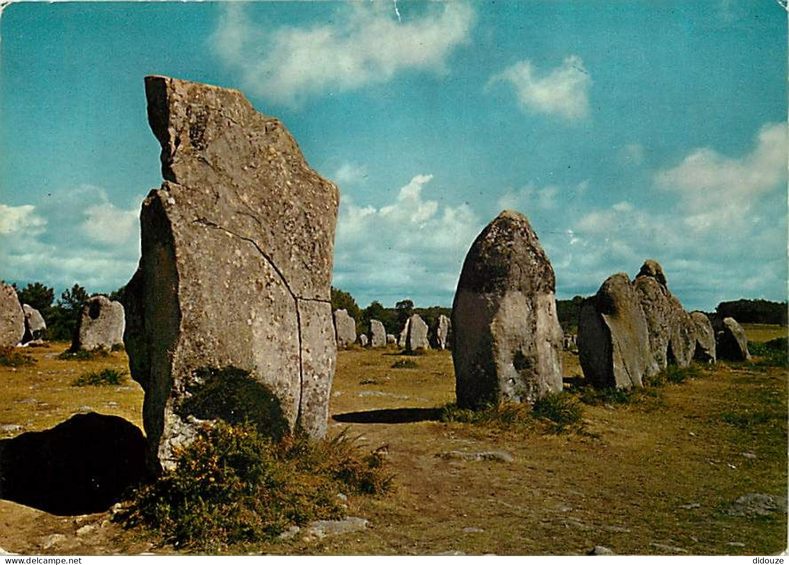 56 - Carnac - CPM - Voir Scans Recto-Verso - Carnac