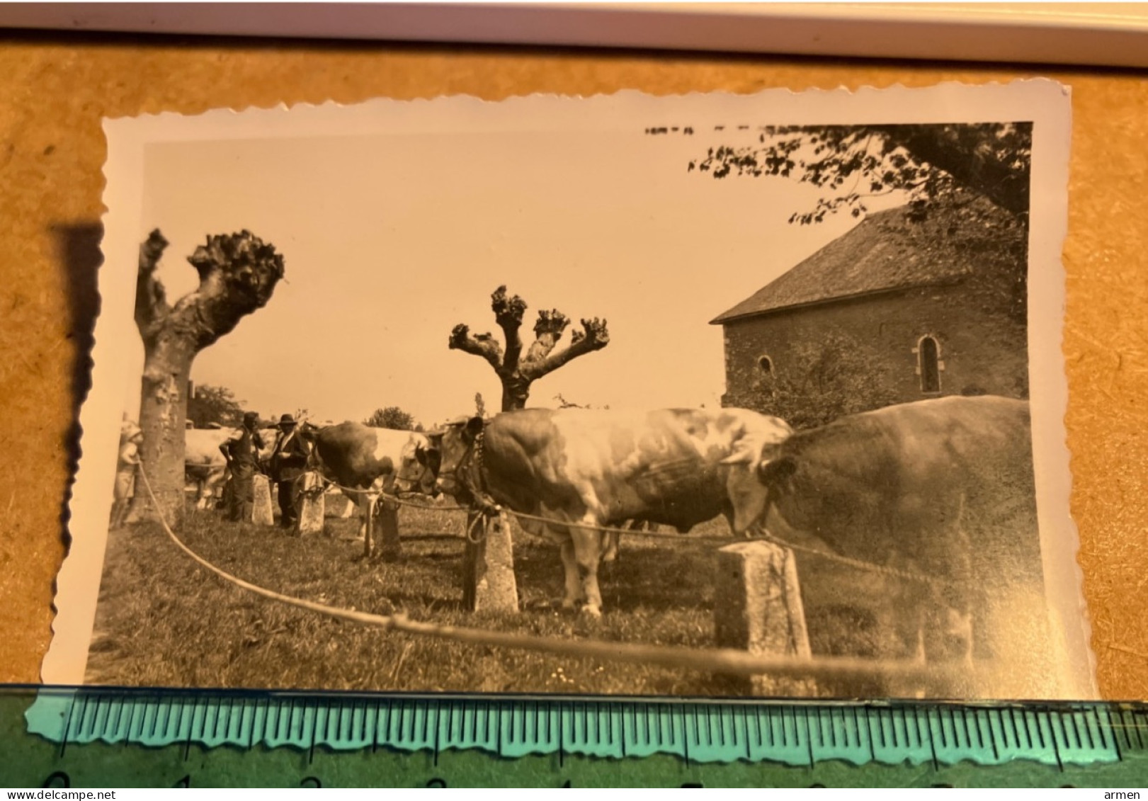 Real Photo Lieux Vue Sur La Champs De Foire Marche Aux Bœufs A Identifier - Orte