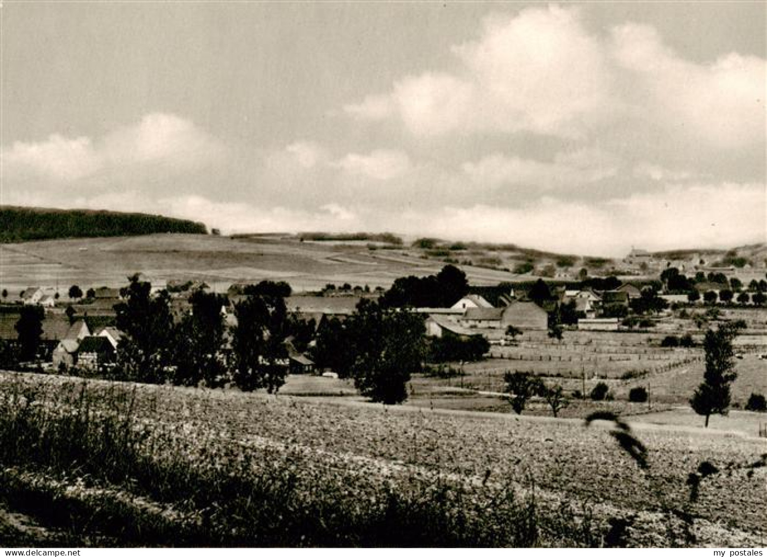 73885021 Neuhof Alfeld Hildesheim Panorama  - Hildesheim