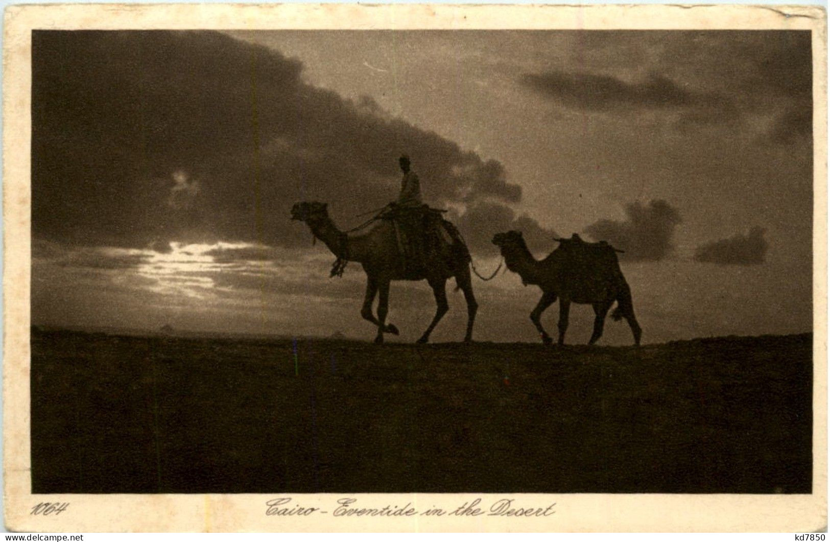 Cairo - Eventide In The Desert - Le Caire
