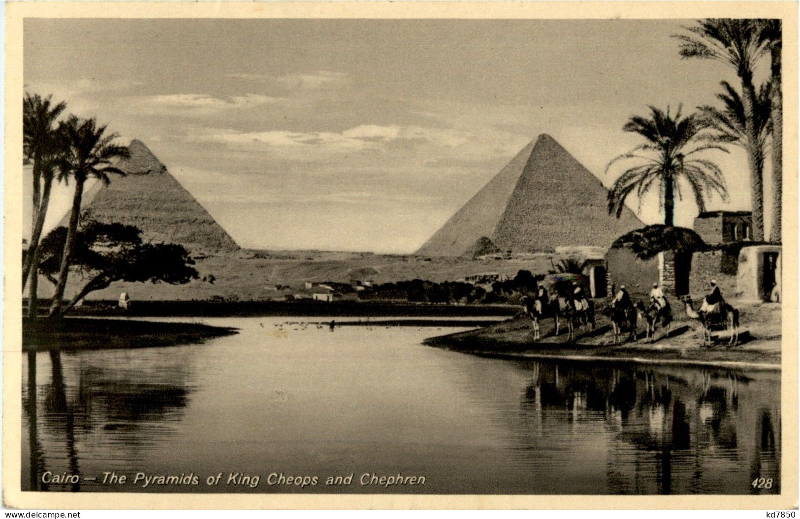 Cairo - Pyramides - Caïro