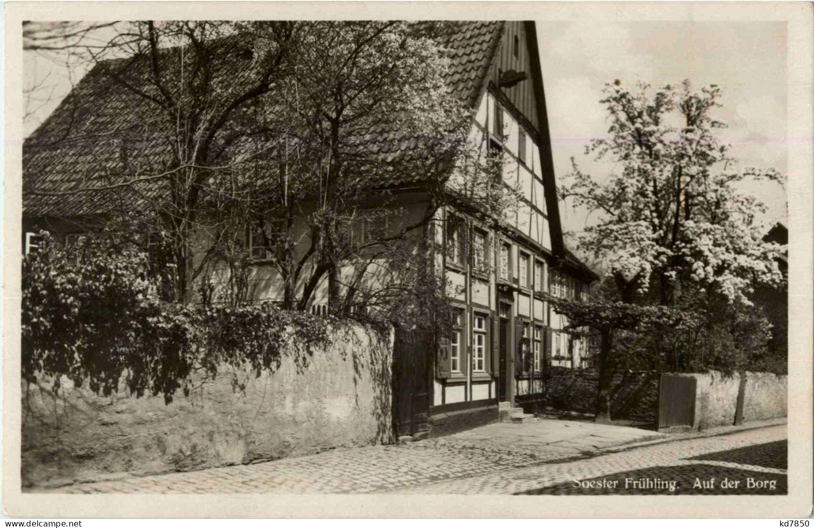 Soest - Auf Der Borg - Soest