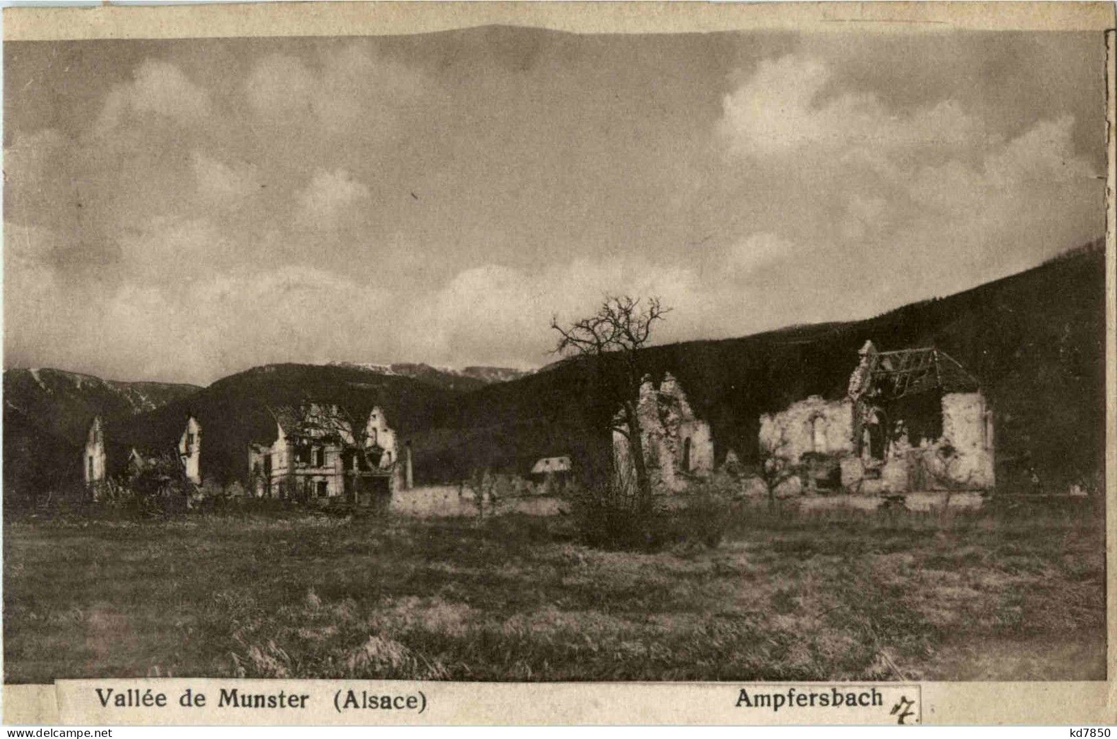 Ampfersbach - Munster