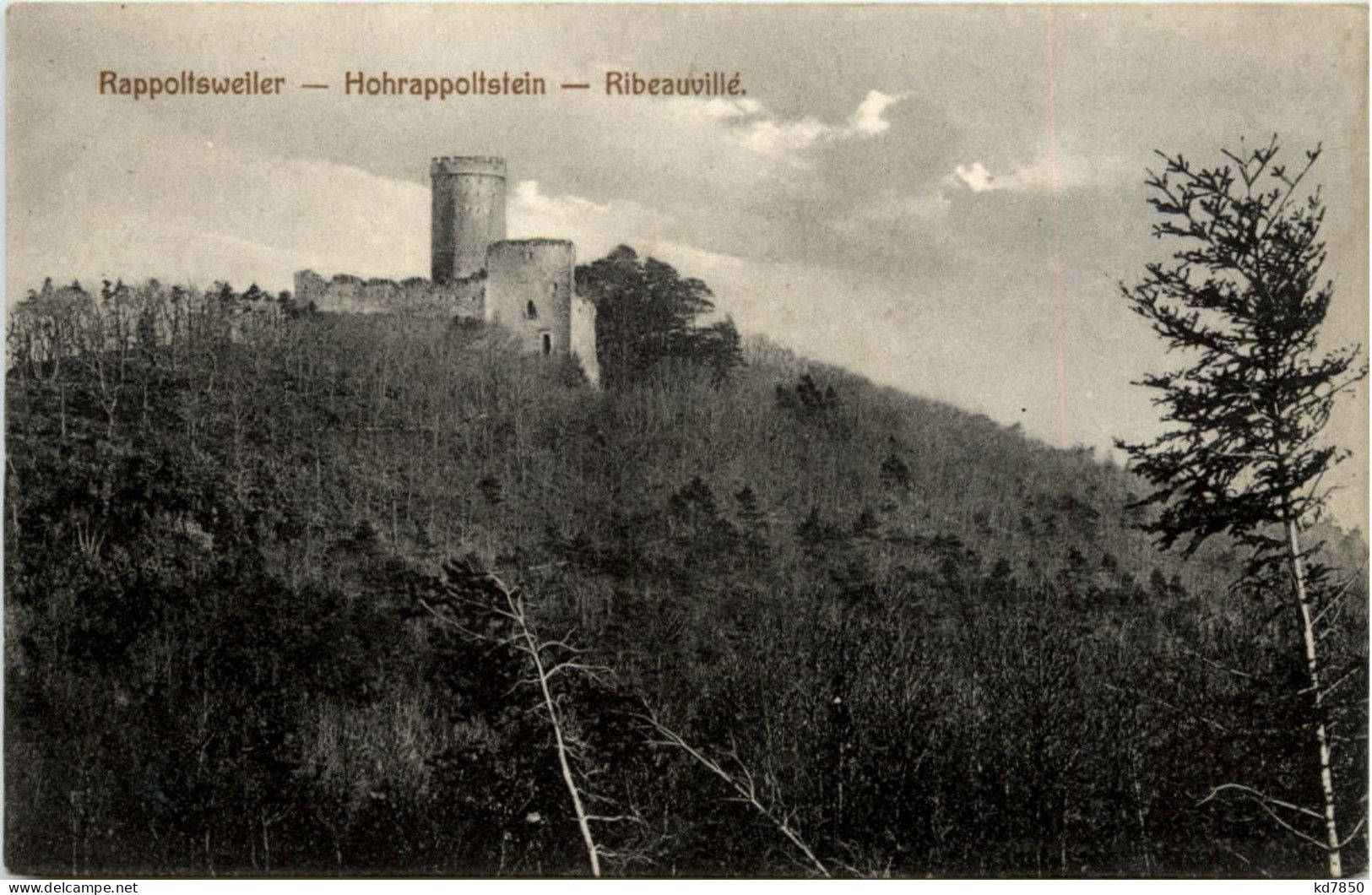 Hohrappoltstein - Ribeauville - Ribeauvillé