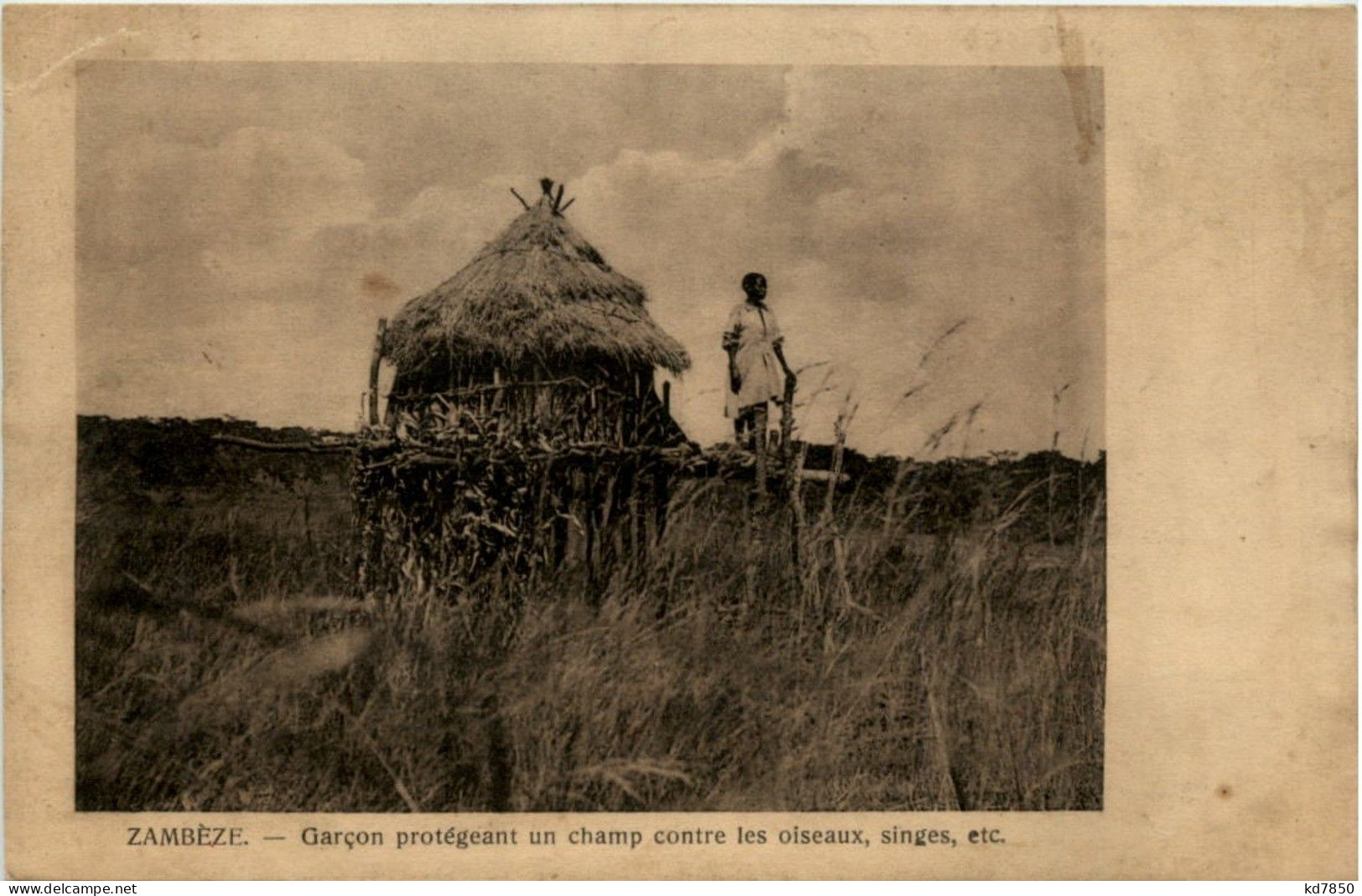 Zambeze - Namibie