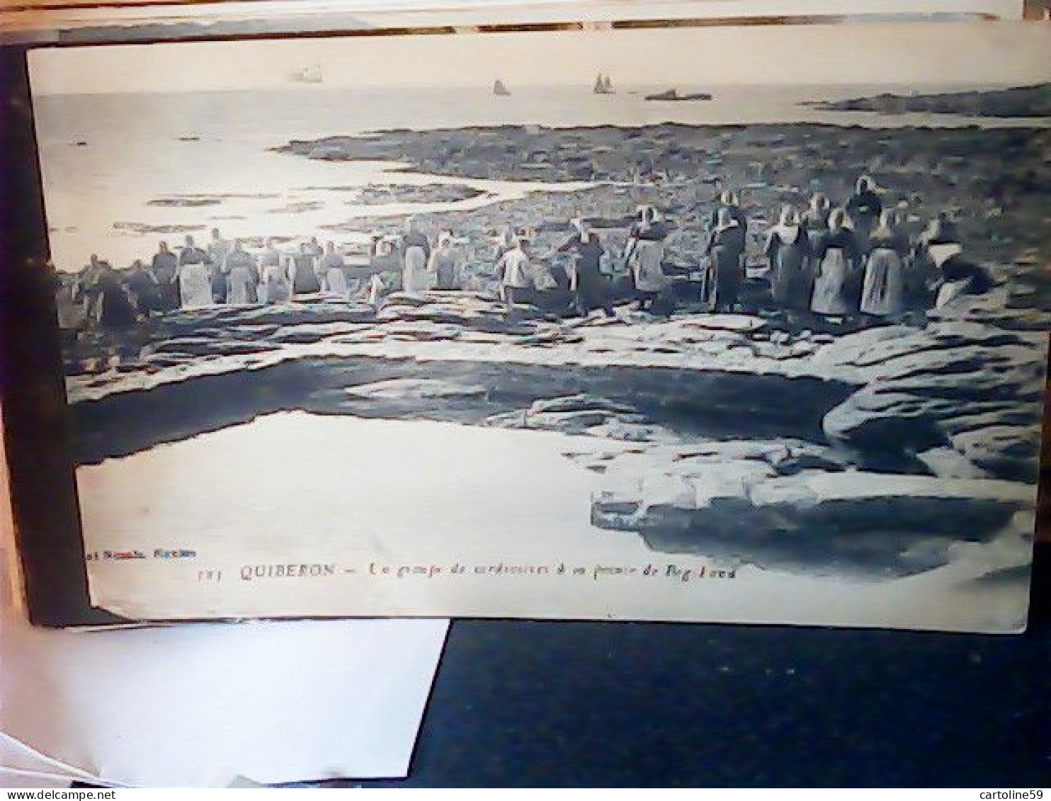 FRANCE  QUIBERON - Groupe De Sardinières à La Pointe De Beg-Land N1910 JV6245 - Quiberon