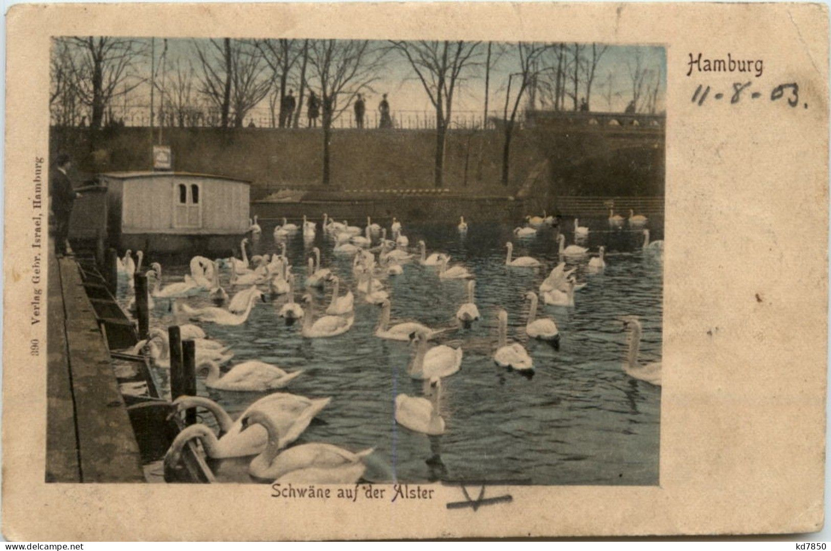 Hamburg - Schwäne Auf Der Alster - Other & Unclassified