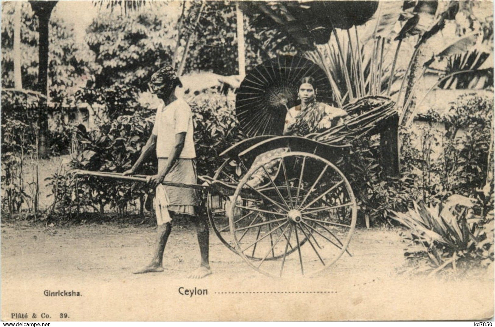 Ceylon Ginricksha - Sri Lanka (Ceylon)