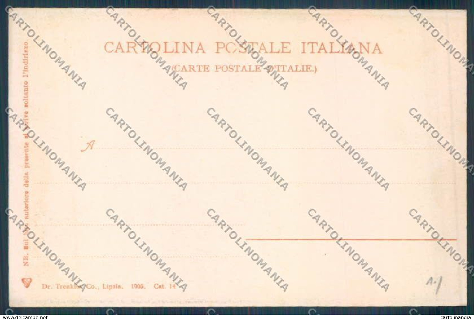 Catania Città Giardini Bellini Cartolina ZB8804 - Catania