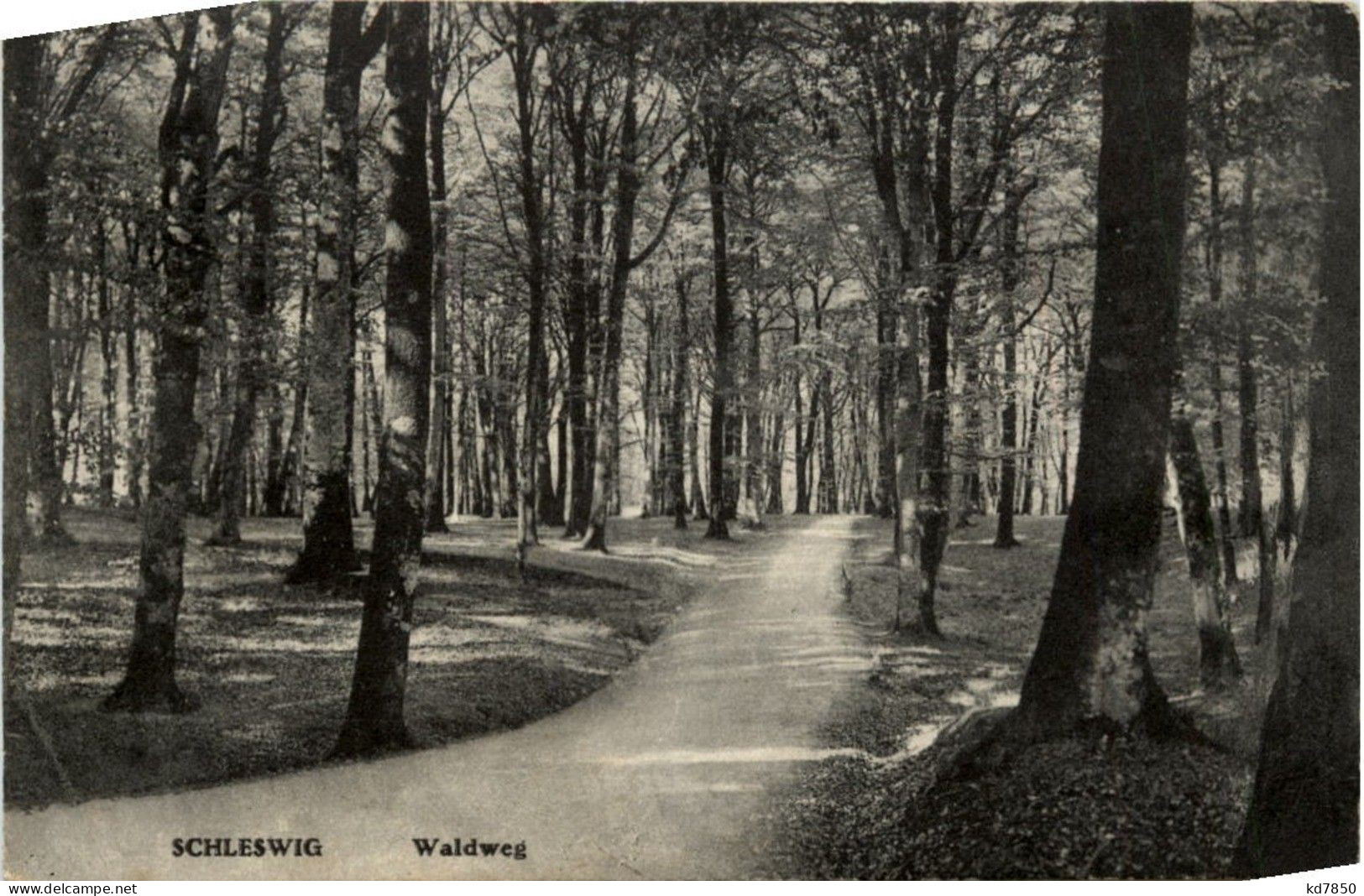 Schleswig - Waldweg - Schleswig