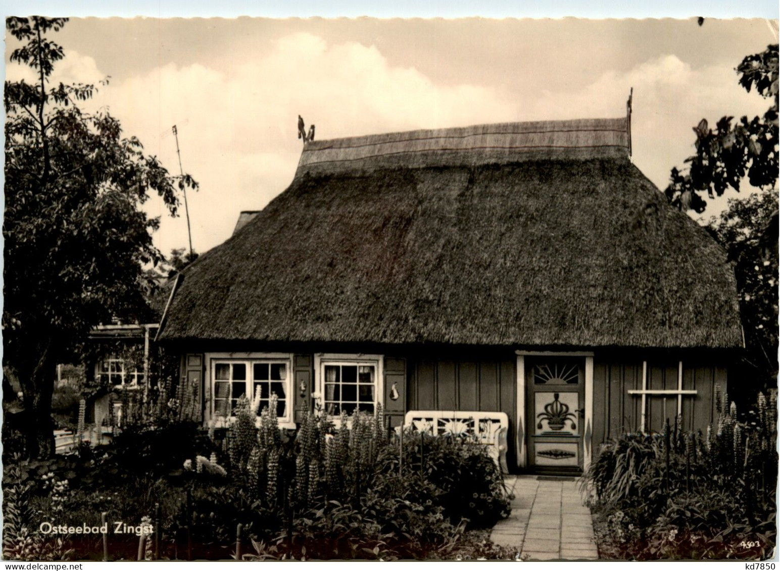 Ostseebad Zingst - Reetdachhaus - Zingst