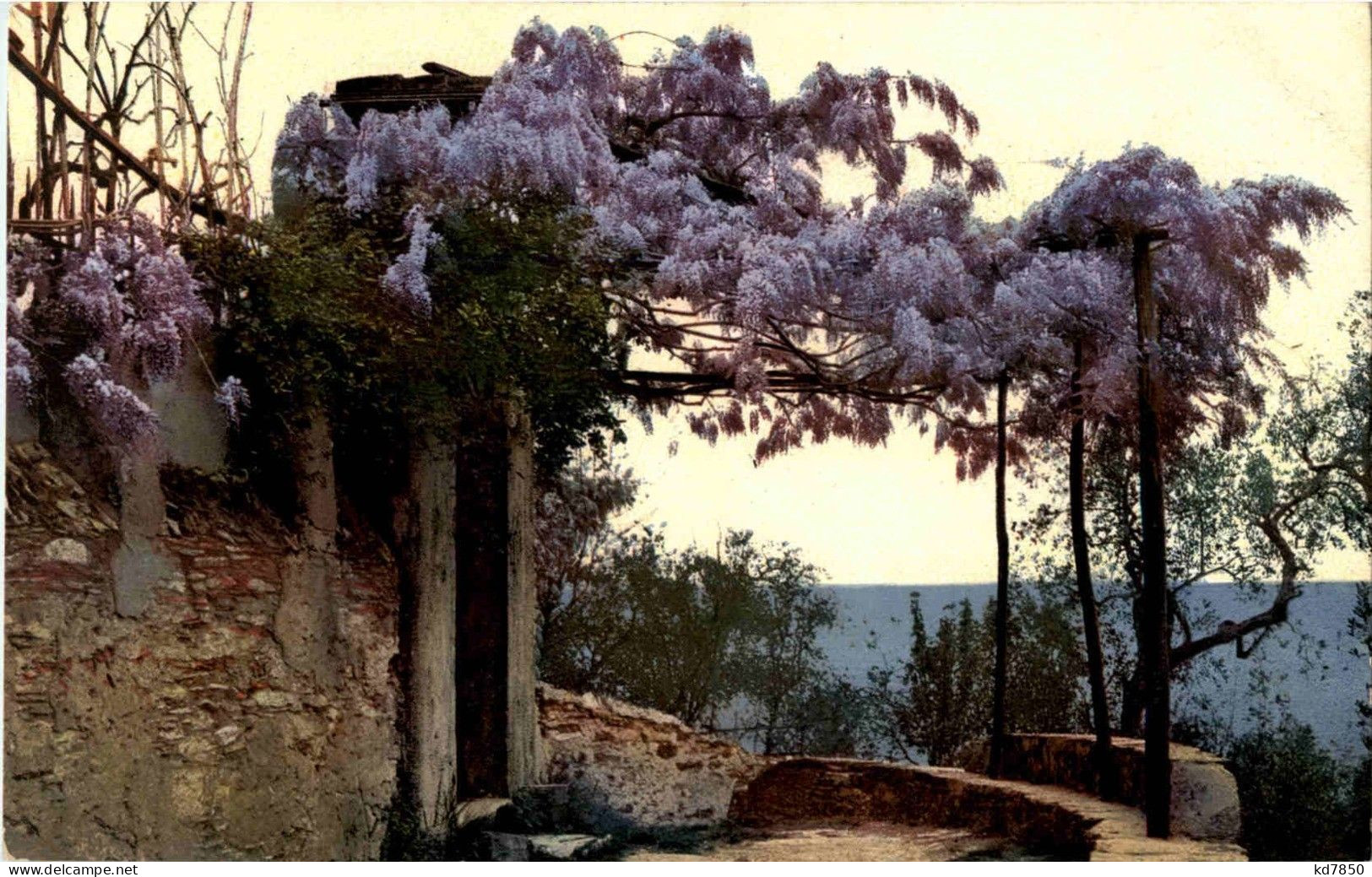 San Ambrogio - Genova (Genoa)