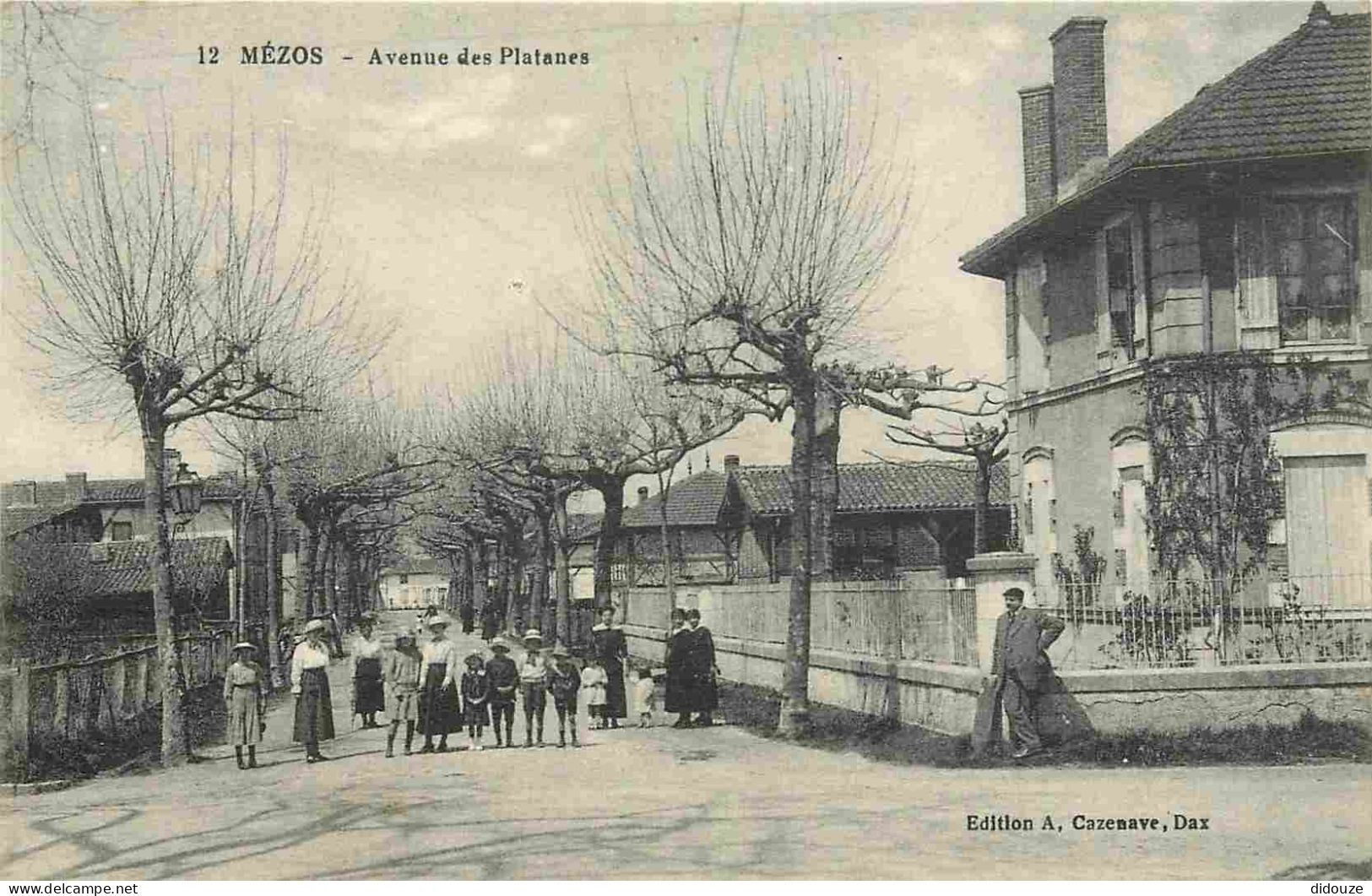 40 - Mézos - Avenue Des Platanes - Animée - CPA - Carte Neuve - Voir Scans Recto-Verso - Autres & Non Classés