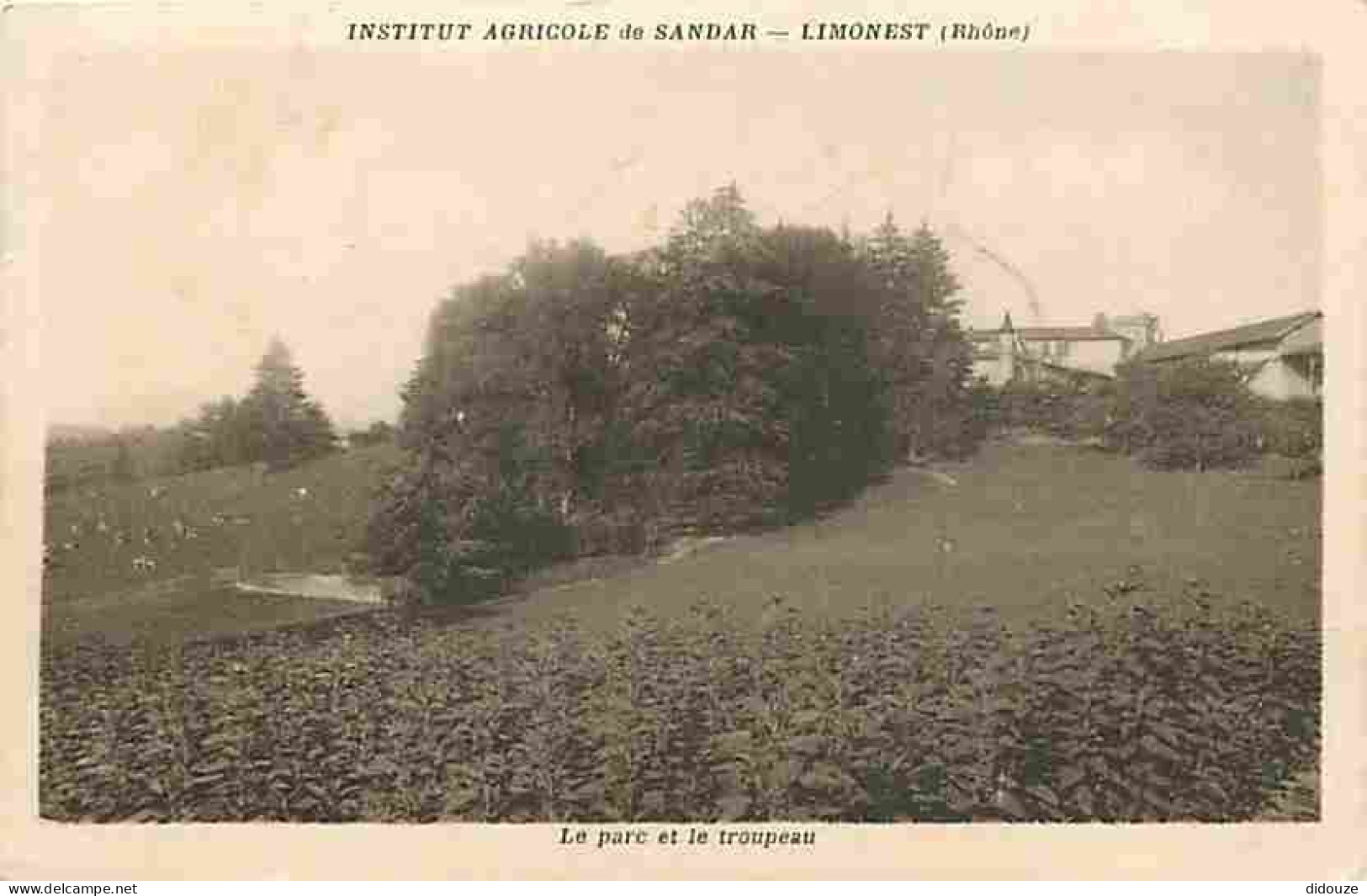 69 - Limonest - Institut Agricole De Sandar - Le Parc Et Le Troupeau - CPA - Voir Scans Recto-Verso - Limonest