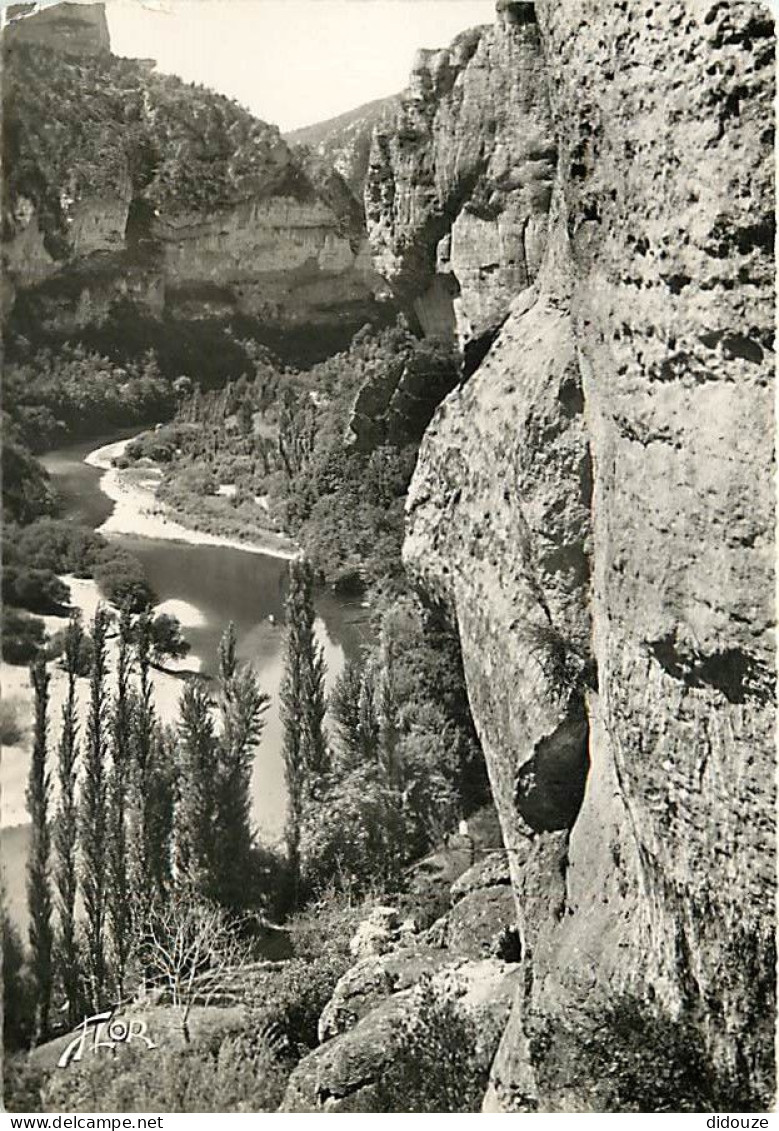 48 - Les Gorges Du Tarn - Cirque Des Baumes - Mention Photographie Véritable - Carte Dentelée - CPSM Grand Format - Voir - Gorges Du Tarn