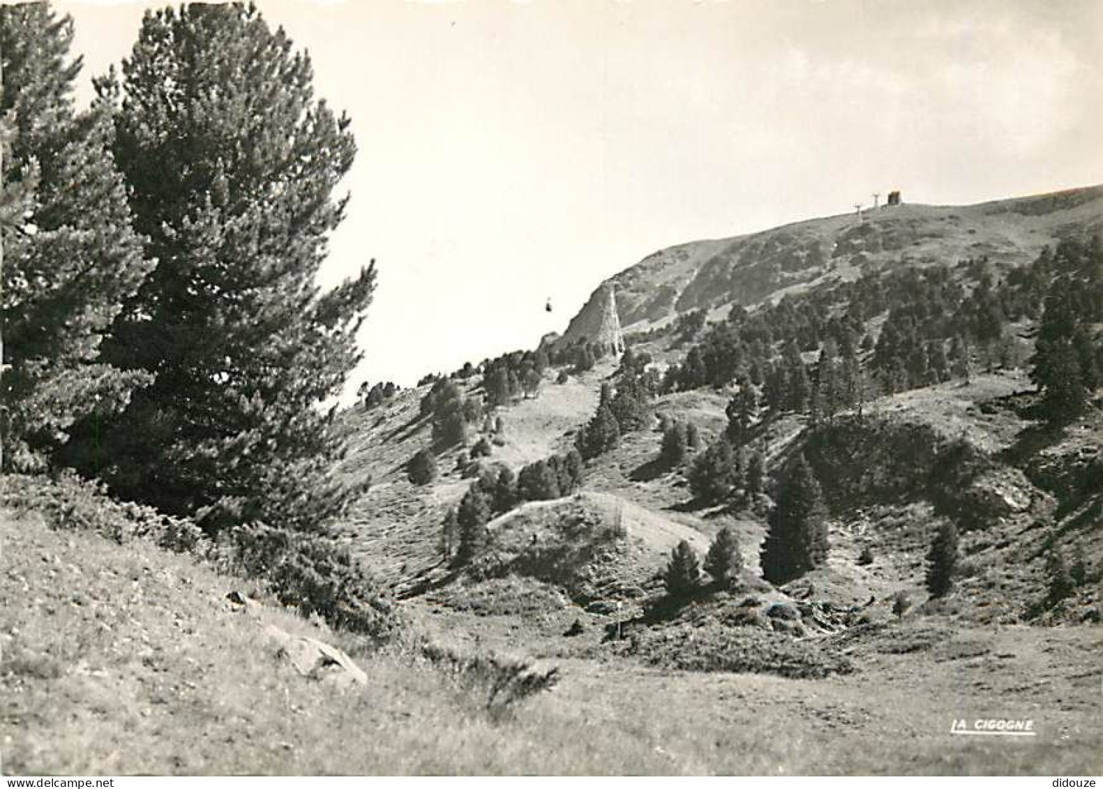 38 - Chamrousse - Benne Et Station Supérieure Du Téléférique - Mention Photographie Véritable - Carte Dentelée - CPSM Gr - Chamrousse