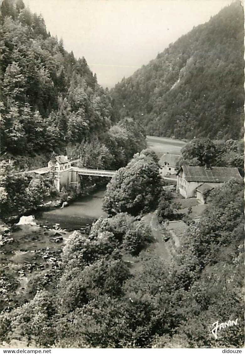 25 - Fournet-Blancheroche - Hotel De La Rasse Et Le Pont - Mention Photographie Véritable - Carte Dentelée - CPSM Grand  - Autres & Non Classés