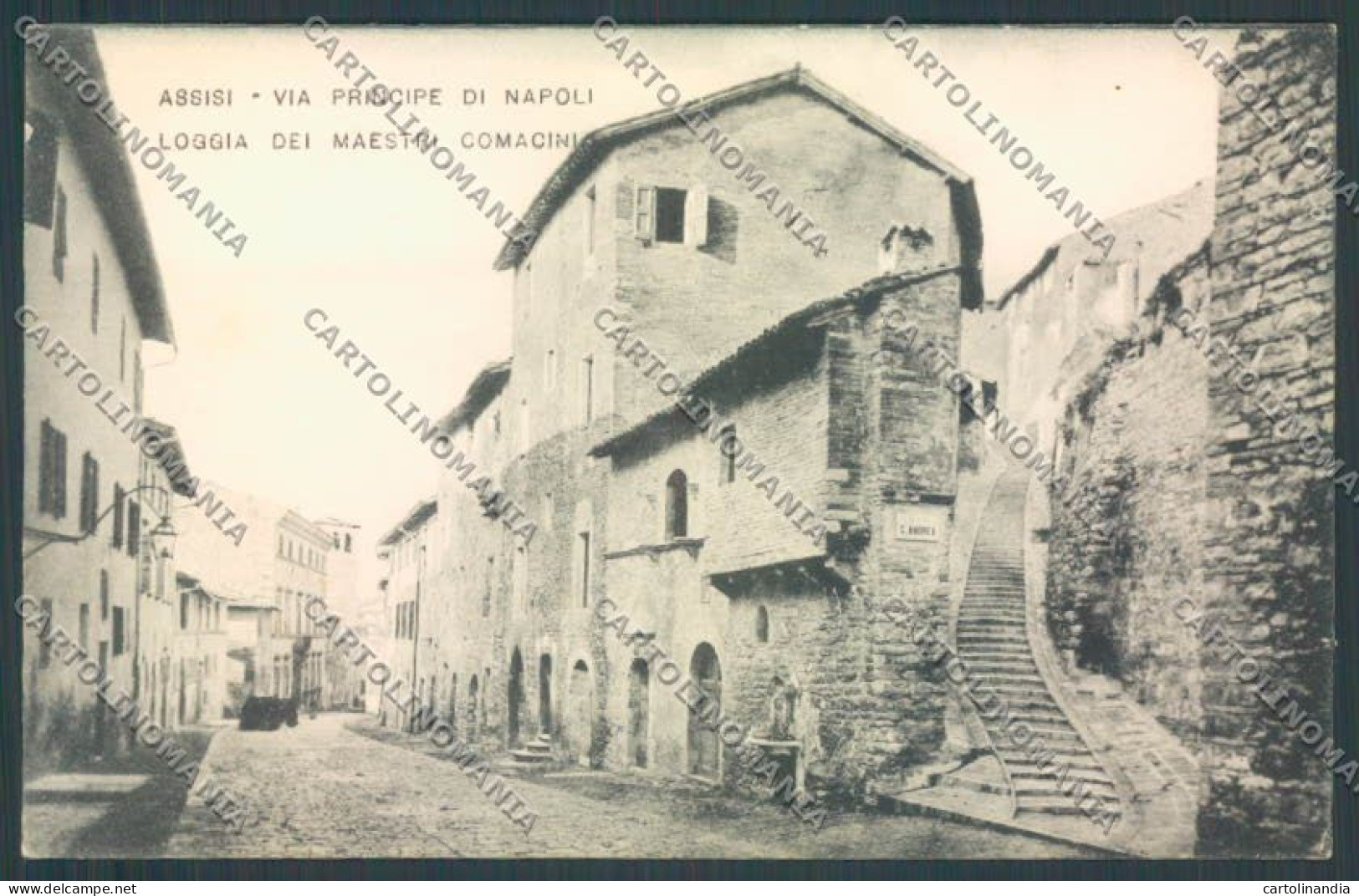 Perugia Assisi Cartolina ZB8636 - Perugia