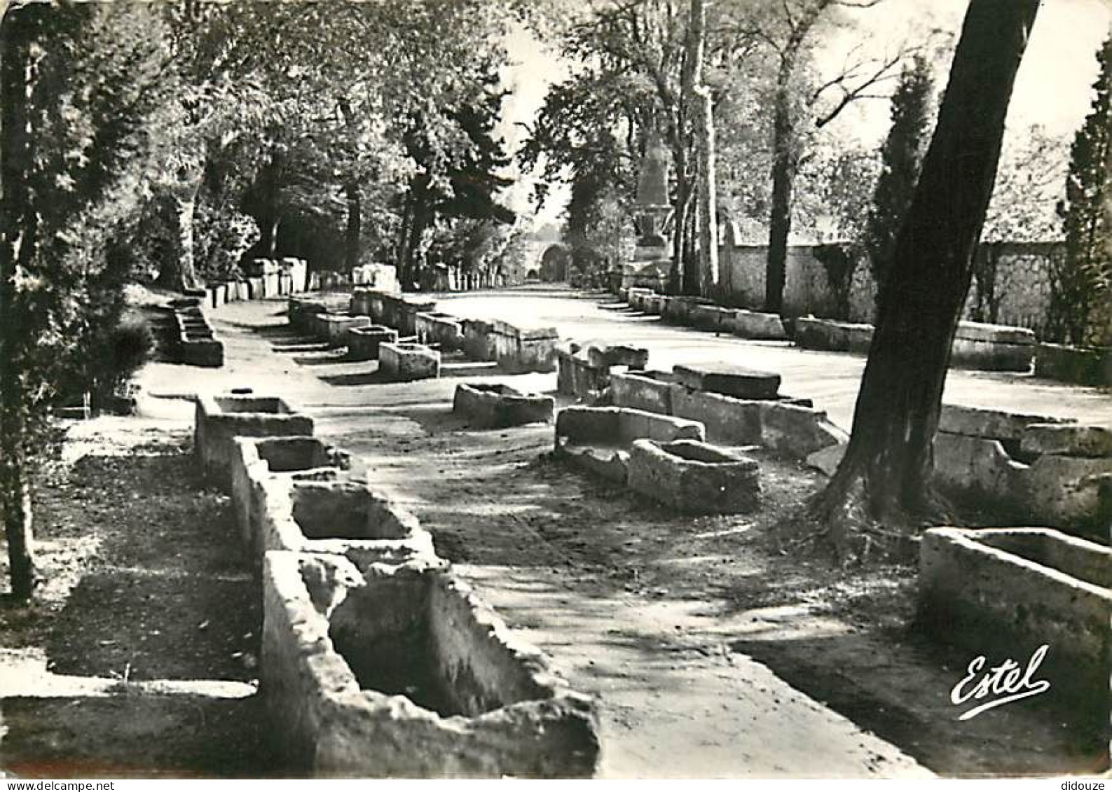 13 - Arles - Les Alyscamps - Allée Des Tombeaux - Mention Photographie Véritable - CPSM Grand Format - Voir Scans Recto- - Arles