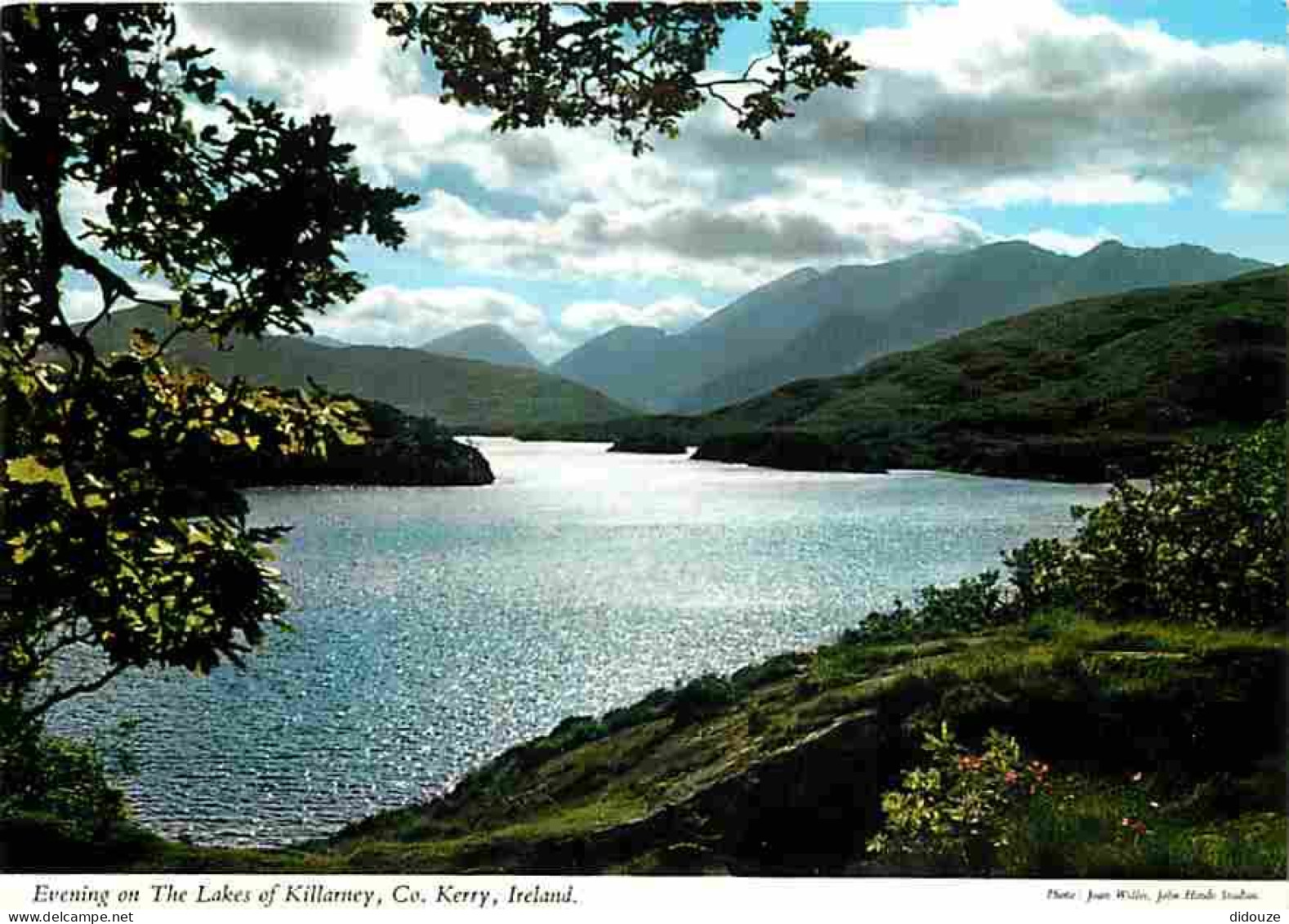 Irlande - Kerry - Evening On The Lakes Of Killarney - Carte Neuve - Ireland - CPM - Voir Scans Recto-Verso - Kerry