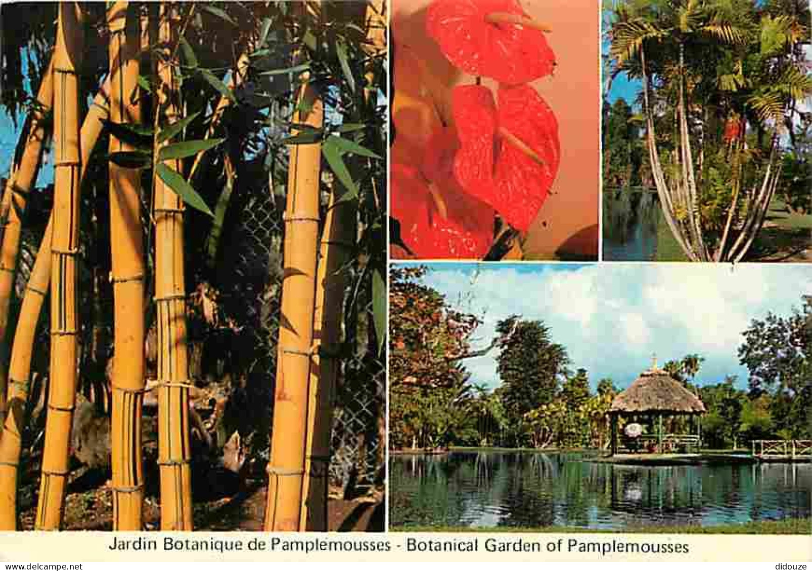 Ile Maurice - Mautitius - Jardin Botanique De Pamplemousses - Botanical Garden Of Pamplemousses - Multivues - CPM - Voir - Maurice